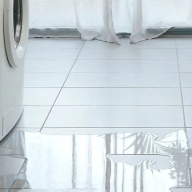 Appliance Leak Cleanup in Greene County, NC