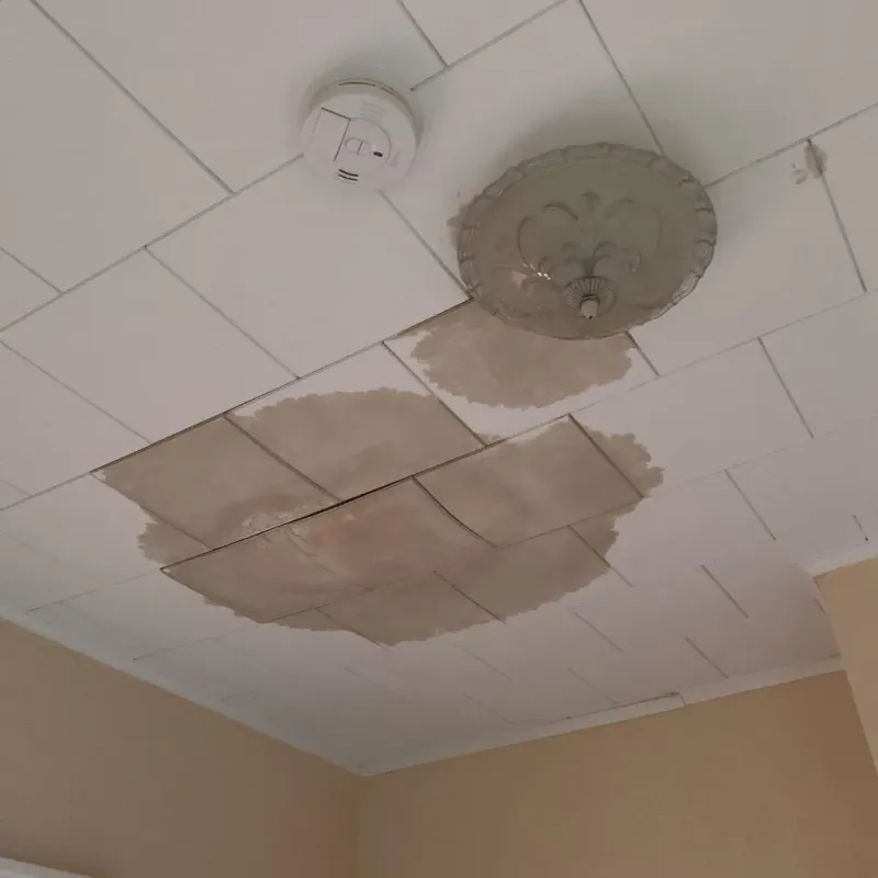 Ceiling Water Damage Repair in Greene County, NC