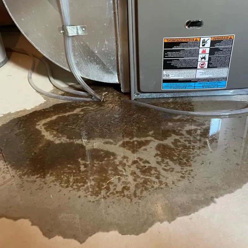 Pipe Burst and Leak Restoration in Greene County, NC