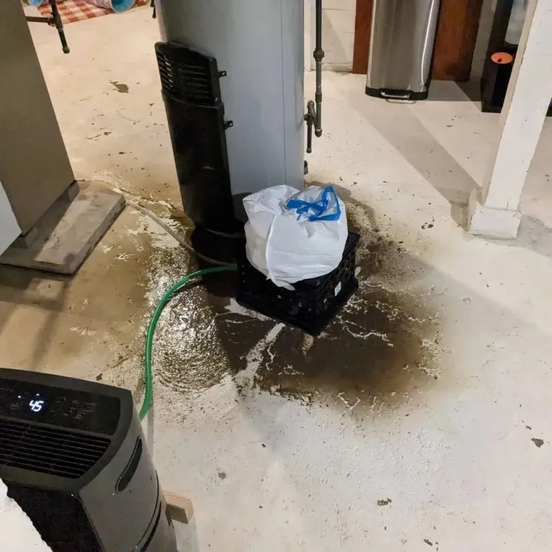 Sewage Backup Cleanup Service in Greene County, NC